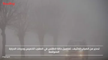 تحذير من الضباب الكثيف.. تفاصيل حالة الطقس في المغرب الخميس ودرجات الحرارة المتوقعة